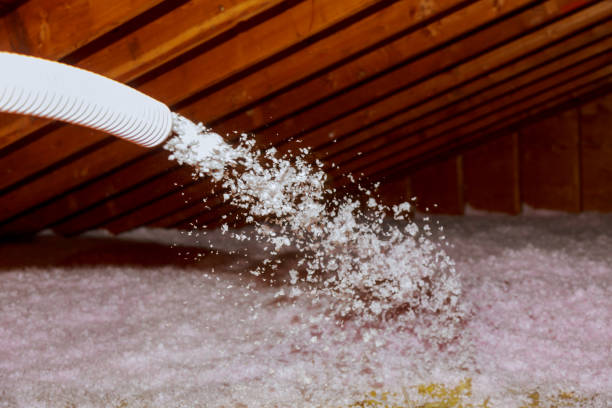Professional Insulation Contractor in Arkadelphia, AR