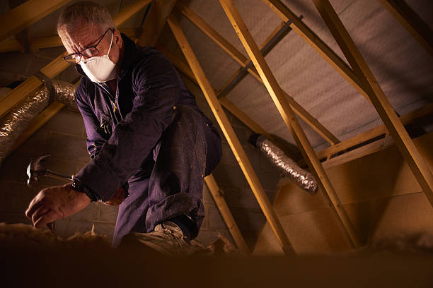 Trusted Arkadelphia, AR Insulation Contractor Experts